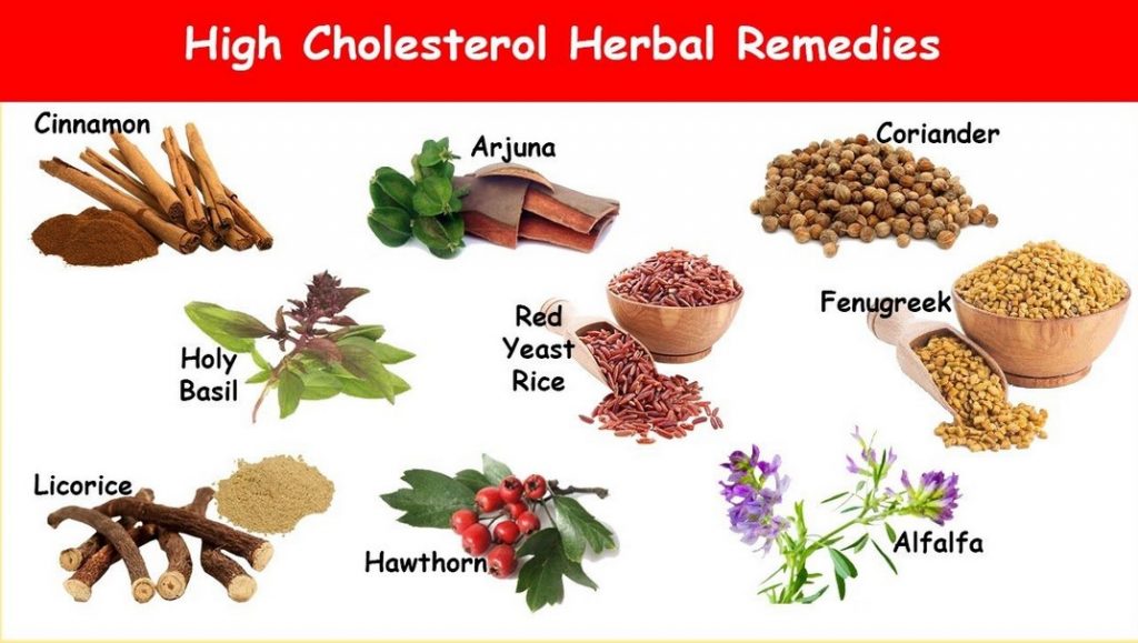 cholestrol