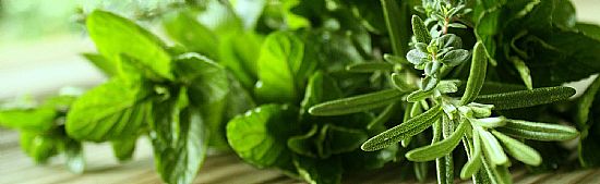 natural-herbs-UK-_-mysacredgardens