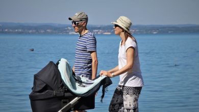 stroller with car seat