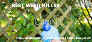 BEST WEED KILLER