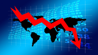 Economic impact of international education in the USA