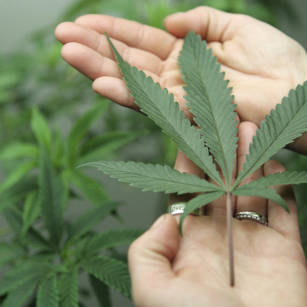 How To Get Medical Marijuana in Pennsylvania