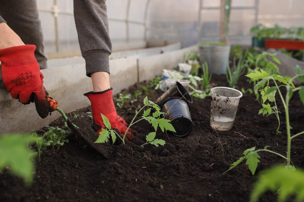 how to improve garden soil over winter