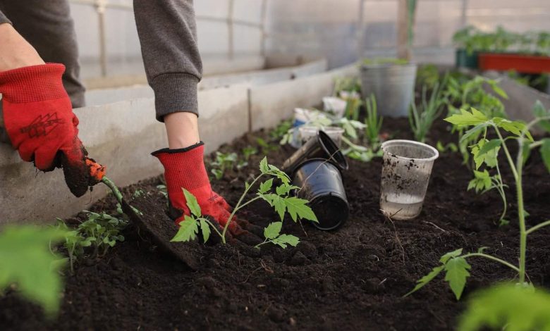 how to improve garden soil over winter