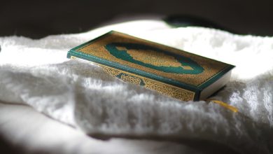 learn Quran online