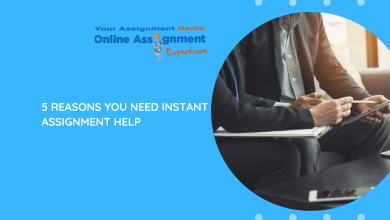 Instant Assignment Help