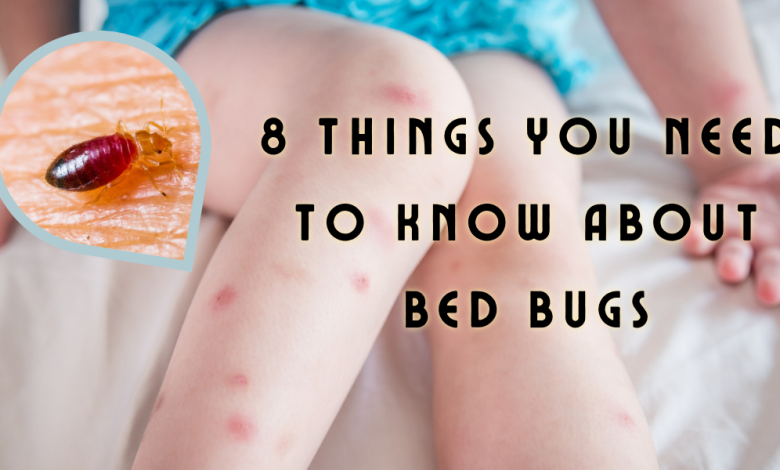 Bed Bugs