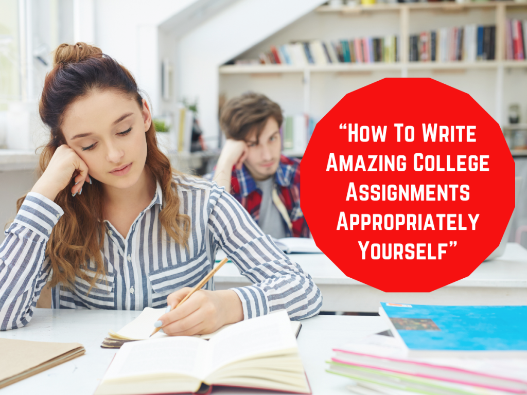 Assignment Help
