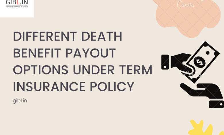 Different Death Benefit Payout Options Under Term Insurance Policy