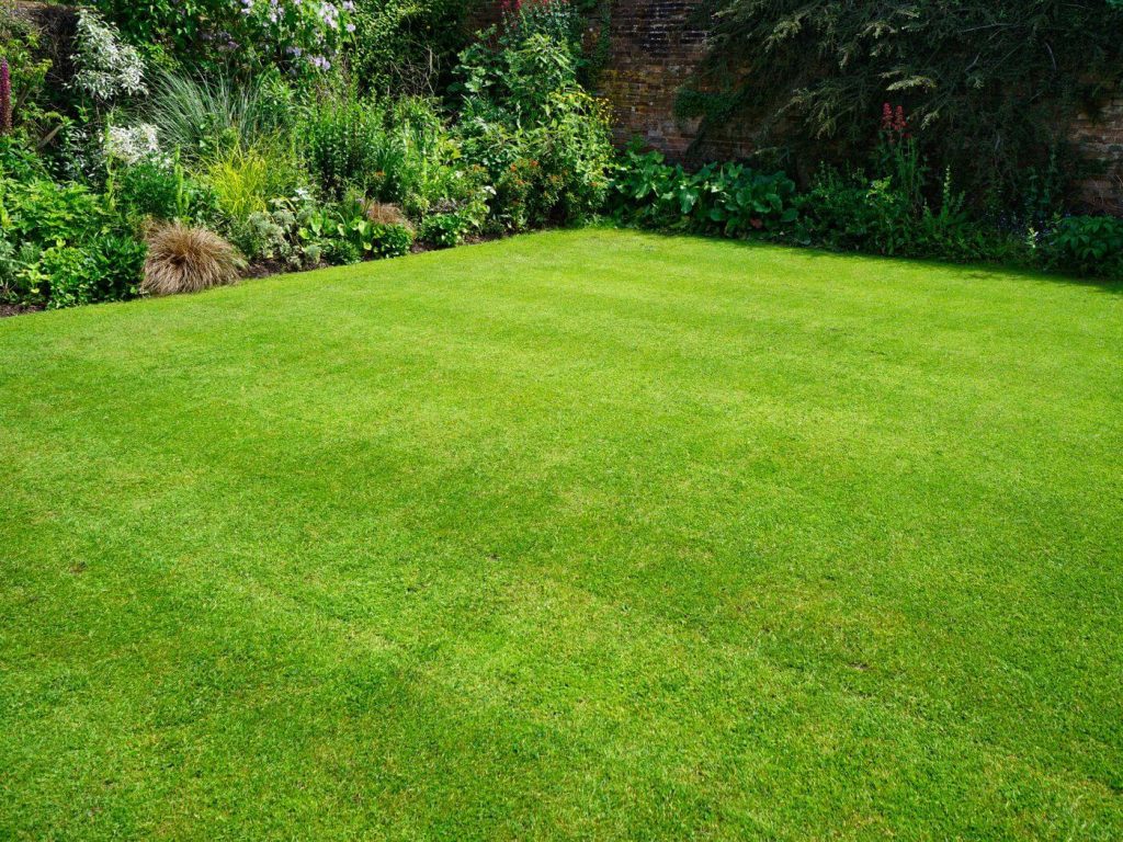 landscaping services