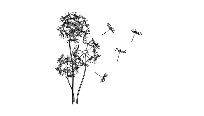 Draw A Dandelion