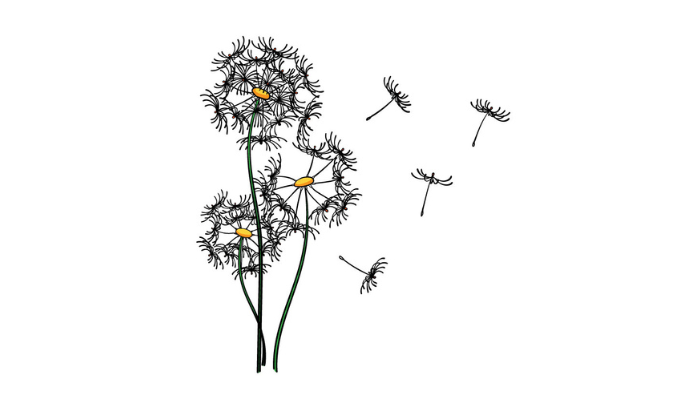 Draw A Dandelion