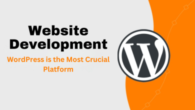 website-development-wordpress-the-most-crucial-platform