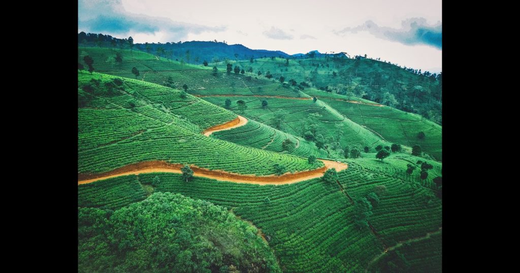 Hill Area Farming in India