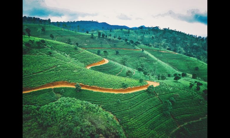Hill Area Farming in India